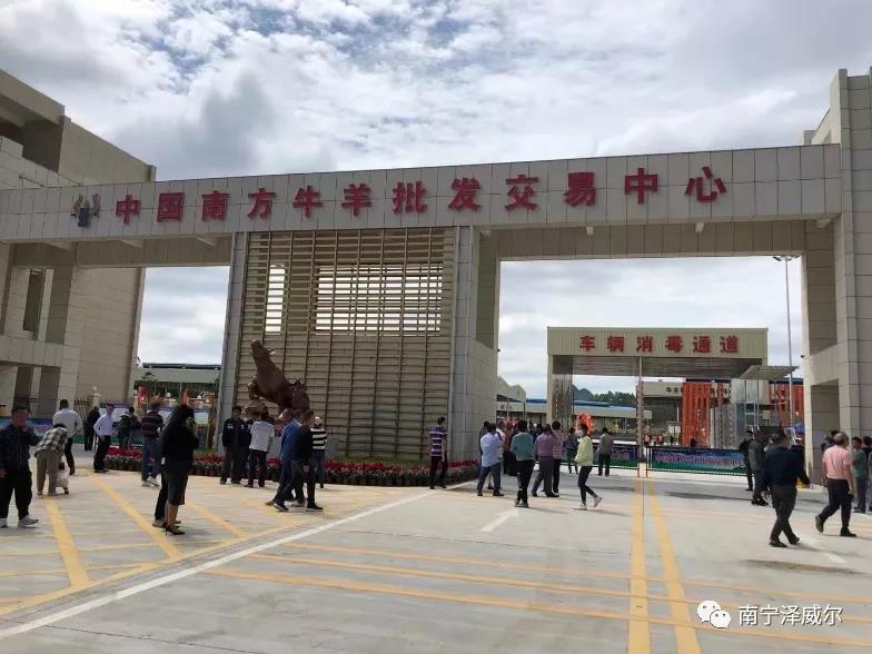 澤威爾參加中國(guó)南方牛羊批發(fā)交易市場(chǎng)開(kāi)業(yè)展覽會(huì) 澤威爾參加中國(guó)南方牛羊批發(fā)交易市場(chǎng)開(kāi)業(yè)展覽會(huì)