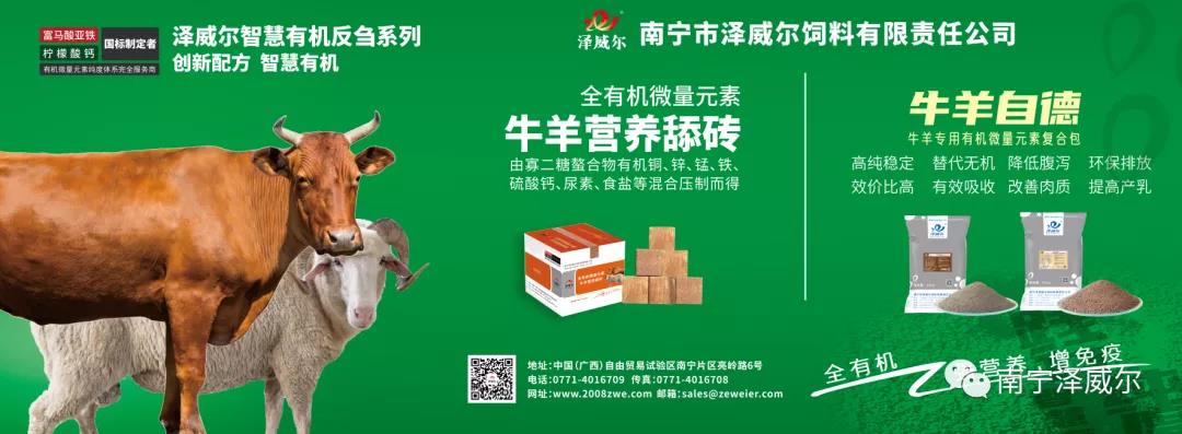 澤威爾參加中國(guó)南方牛羊批發(fā)交易市場(chǎng)開(kāi)業(yè)展覽會(huì) 澤威爾參加中國(guó)南方牛羊批發(fā)交易市場(chǎng)開(kāi)業(yè)展覽會(huì)