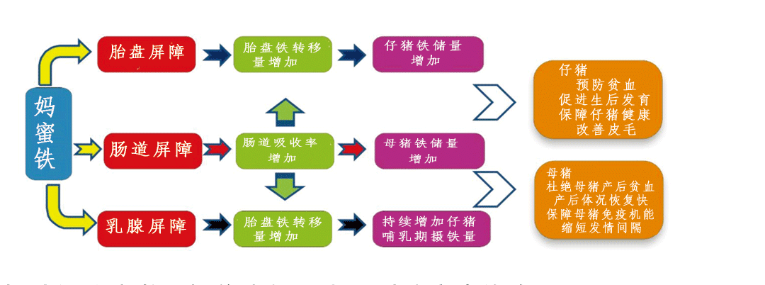 飼料添加劑媽蜜鐵功效 飼料添加劑媽蜜鐵功效