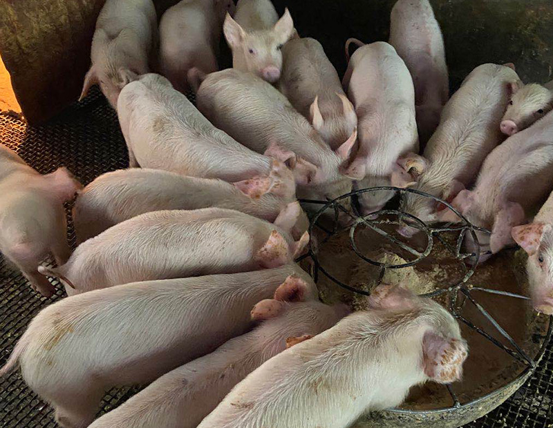 使用冠膚速紅前2