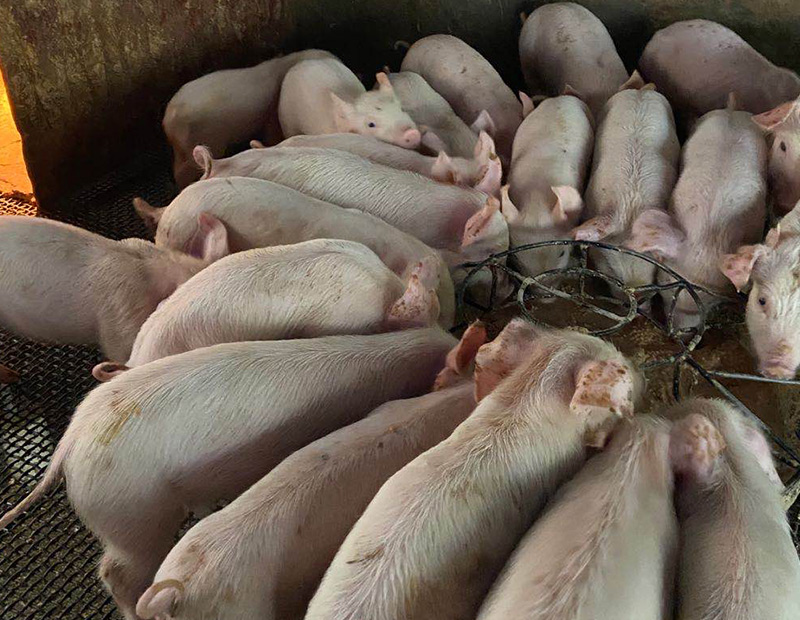 使用冠膚速紅前1 使用冠膚速紅前1