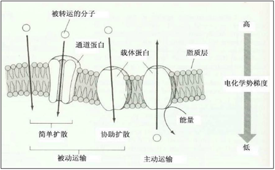 微信圖片_202204301249592 微信圖片_202204301249592