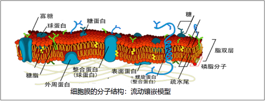 微信圖片_202204301249593 微信圖片_202204301249593