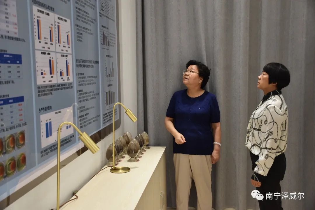 記良慶區(qū)統(tǒng)戰(zhàn)部部長黃均梅走訪南寧市澤威爾飼料有限公司3