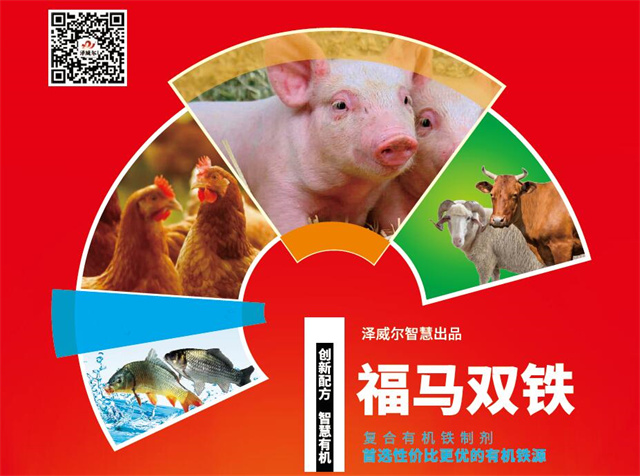 飼料添加劑福馬雙鐵廣告單頁 飼料添加劑福馬雙鐵廣告單頁