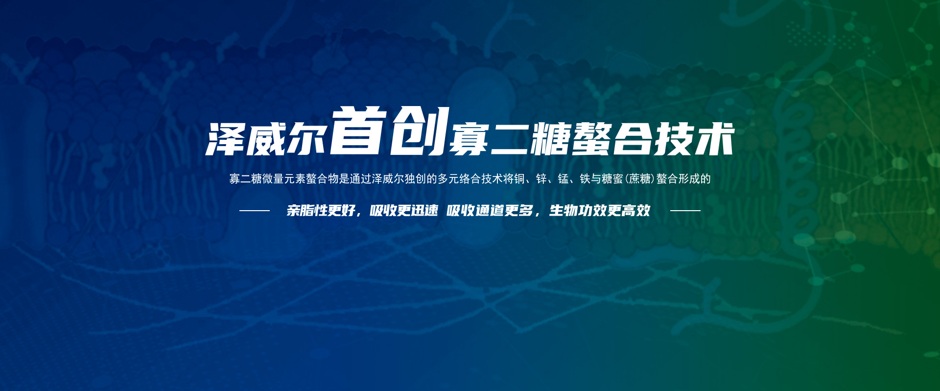 寡二糖技術(shù) 寡二糖技術(shù)