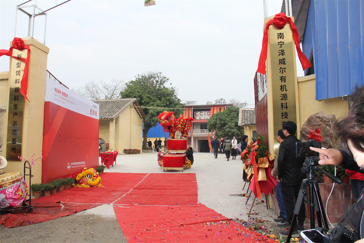 年產(chǎn)2萬噸單細(xì)胞飼料蛋白項(xiàng)目開業(yè)舞獅表演 年產(chǎn)2萬噸單細(xì)胞飼料蛋白項(xiàng)目開業(yè)舞獅表演
