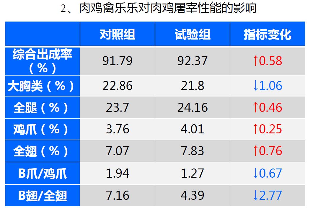 肉雞禽樂樂對肉雞屠宰性能影響 肉雞禽樂樂對肉雞屠宰性能影響