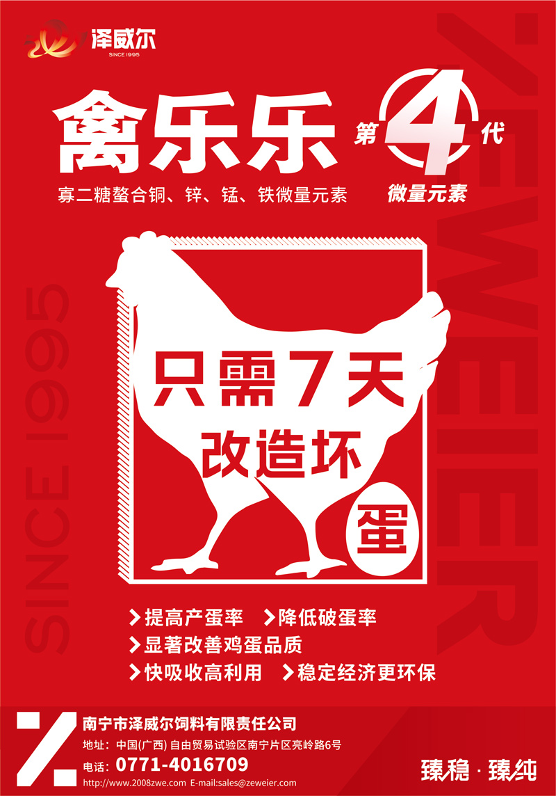 改造壞蛋-只需7天 改造壞蛋-只需7天