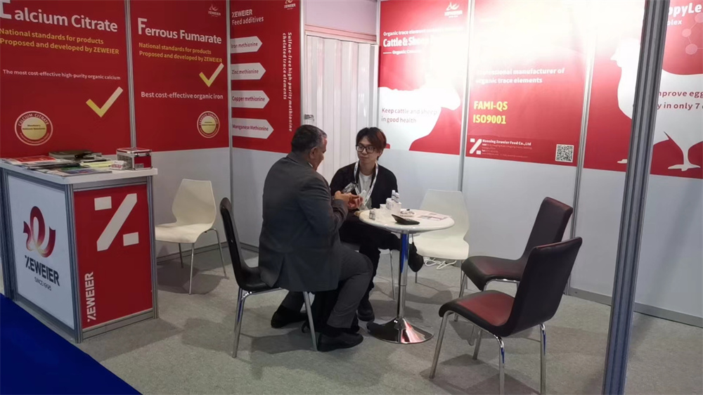 澤威爾總裁莫偉宇與客戶交談 澤威爾總裁莫偉宇與客戶交談