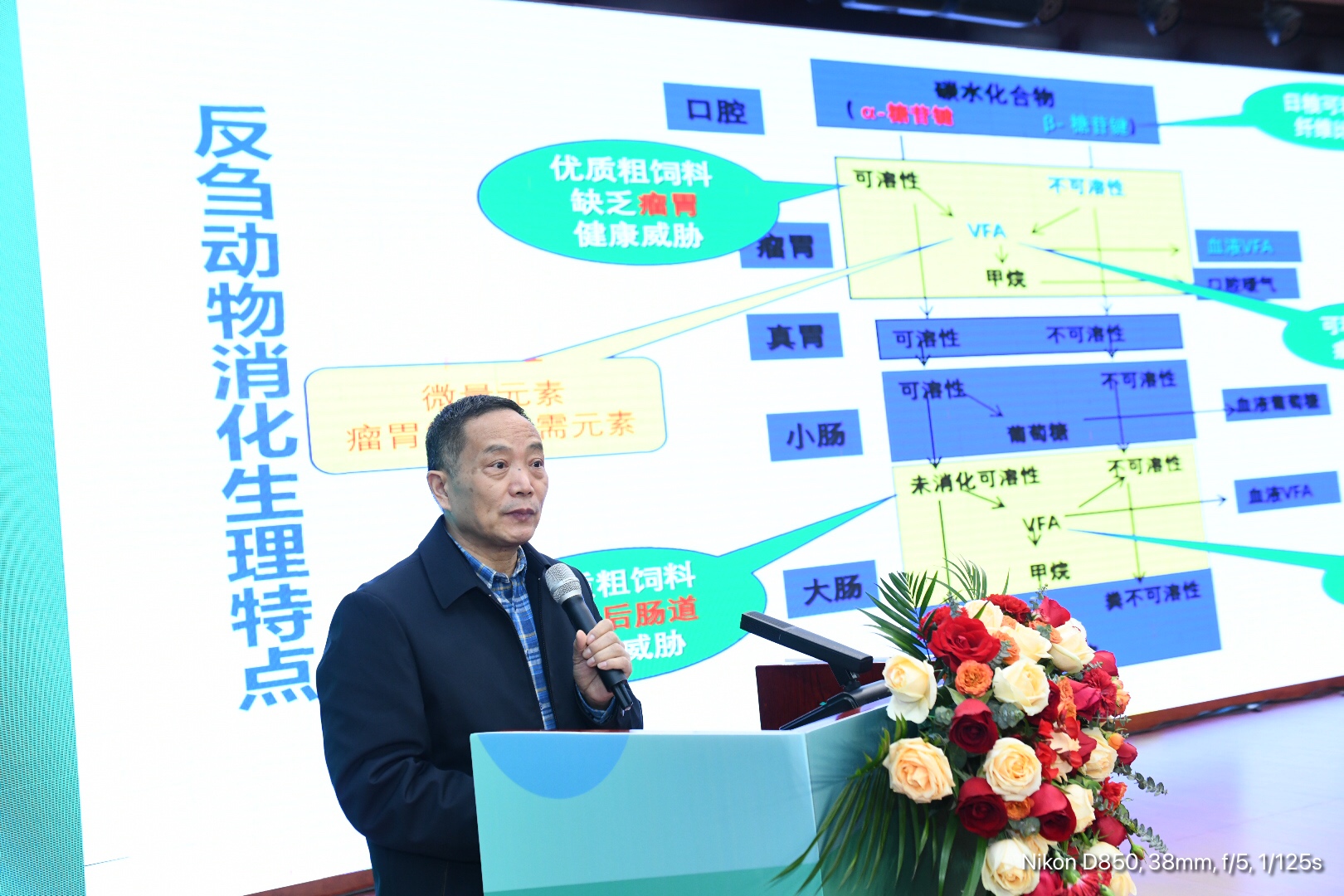 楊在賓教授 楊在賓教授