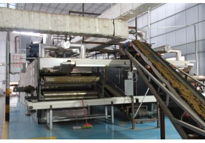 單細(xì)胞蛋白原料廠家-澤威爾有機(jī)源車間